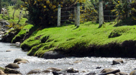 Timeline: Línea del Tiempo del Río Tunjuelo