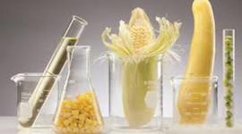 Timeline: Food Laws Timeline