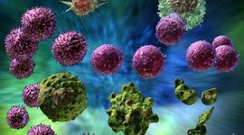 Timeline: Immune Response System