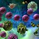 Immune response cytotoxic 1 russell kightley