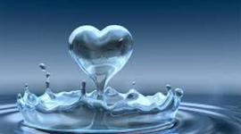 Timeline: History class timeline 2014-2015