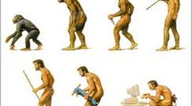 Timeline: evolución histórica del talento humano
