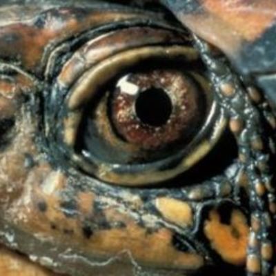 Timeline: history 2014-2015