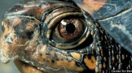 Timeline: history 2014-2015