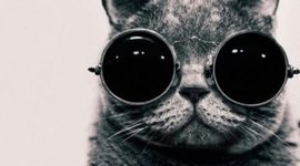 Timeline: DNA Historical Timeline