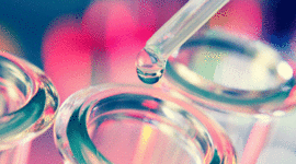 Timeline: Historia de la Biotecnología