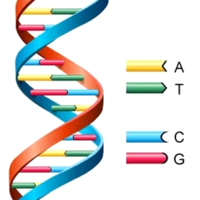 Timeline: People of DNA/RNA History