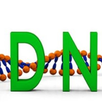 Timeline: DNA Timeline Project- Biology- Blatnica Mod 2
