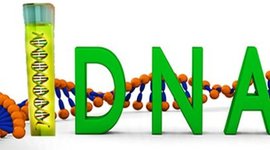 Timeline: DNA Timeline Project- Biology- Blatnica Mod 2