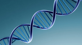 Timeline: DNA Timeline