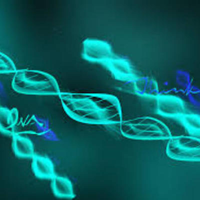 Timeline: Important Events in the History of DNA    By: Garrett Dort 3rd Period Biology Honors