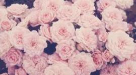 Timeline: Technology History Project