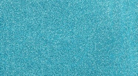 Timeline: Tori Rickerson Renaissance Timeline