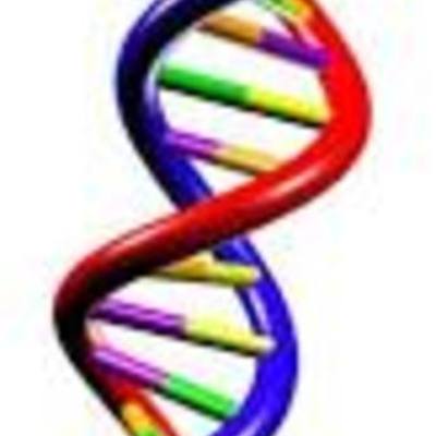 Timeline: DNA throughout the years