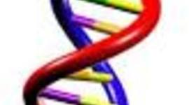 Timeline: DNA throughout the years