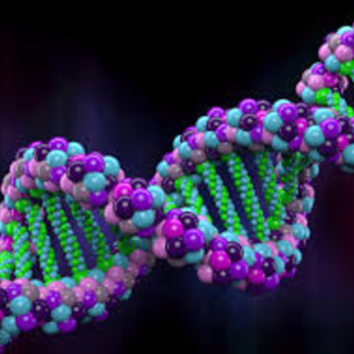 Timeline: DNA Development Timeline