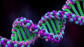 Timeline: DNA Development Timeline