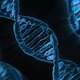 Dna ctsy pixabay public domain