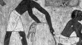 Timeline: Derechos humanos