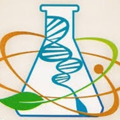 Timeline: Antecedentes de la Quimica