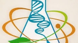 Timeline: Antecedentes de la Quimica