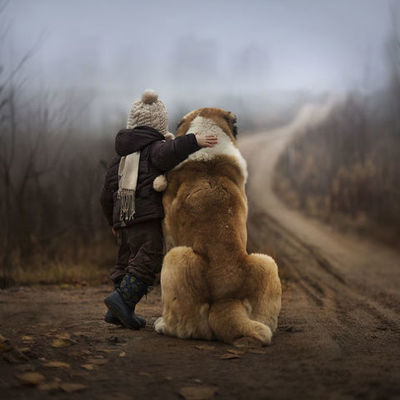 Timeline: Historia del html