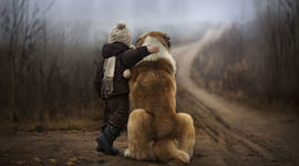 Timeline: Historia del html