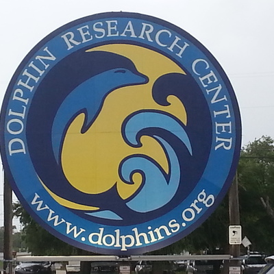 Timeline: Amy's Past, Present, Future Timeline Project