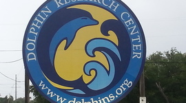 Timeline: Amy's Past, Present, Future Timeline Project