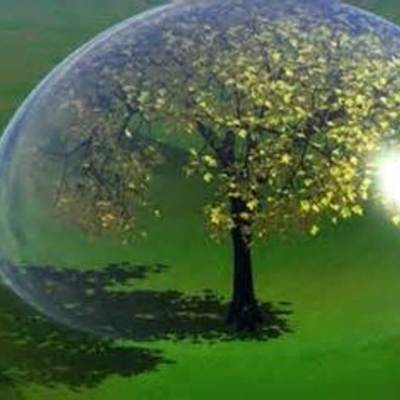 Timeline: sostenibilidad