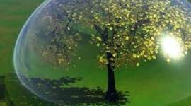 Timeline: sostenibilidad