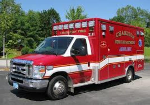 Immune Response and Symptoms timeline | Timetoast timelines