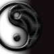 Ying yang