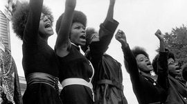 Timeline: Black Panthers
