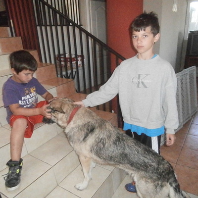 Timeline: Dallas Ludwig