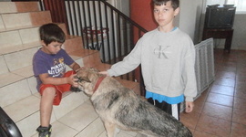 Timeline: Dallas Ludwig