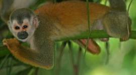 Timeline: Oliver's reading log