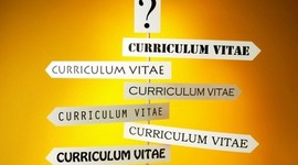 Timeline: antecedentes históricos del curriculum