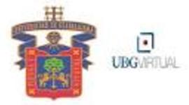 Timeline: Evolución de la Profesión Bibliotecológica