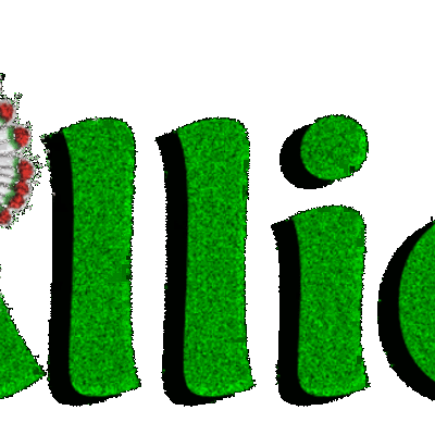 Timeline: Allie Benzel Chapter 1 Timeline