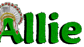 Timeline: Allie Benzel Chapter 1 Timeline