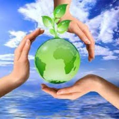 Timeline: turismo sustentable