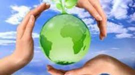 Timeline: turismo sustentable