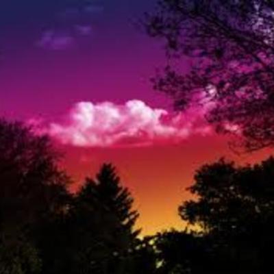 Timeline: My Personal Timeline