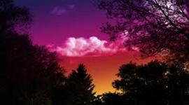 Timeline: My Personal Timeline