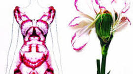 Timeline: History Of Fashion