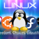Linux
