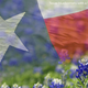 Texas homepage