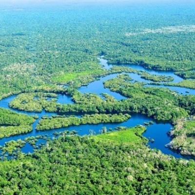 Timeline: Deforestation