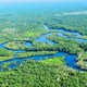 Brazil rainforest 602x400